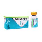 AMIKANDIL-AMP.-500MG-2ML-I.M-I.V-RONAVA.jpg