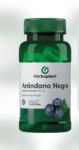 arandano negro